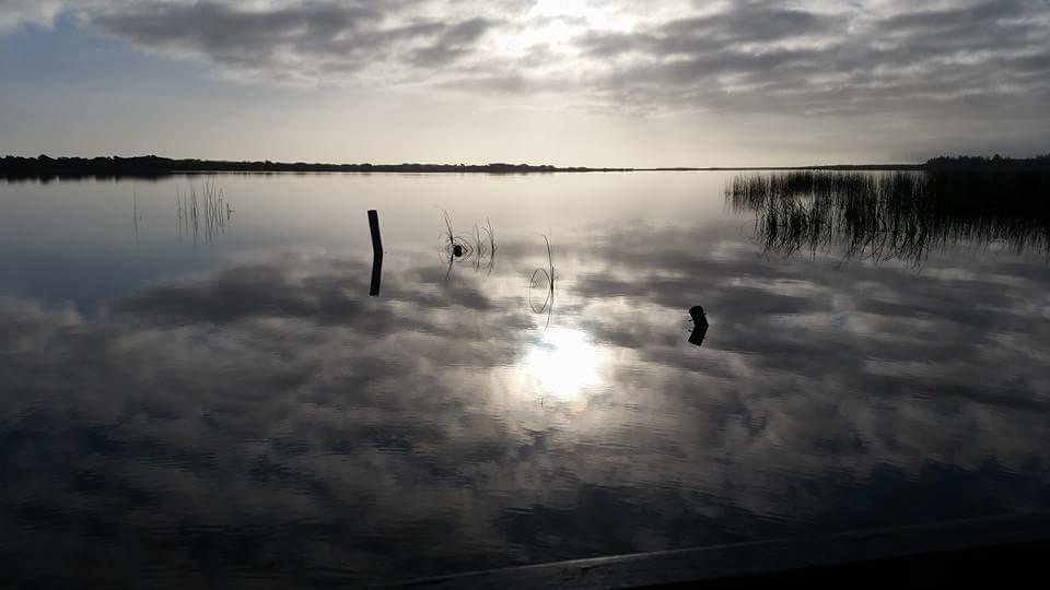 Ps Federal Retreat Paddle Steamer Goolwa Extérieur photo